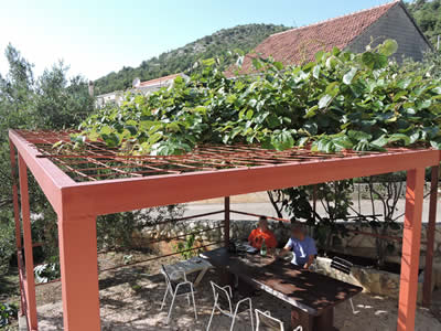 Apartmani