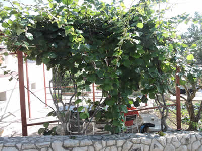Apartmani