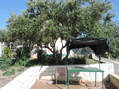 Apartmani