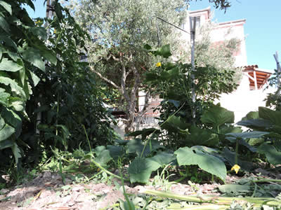 Apartmani