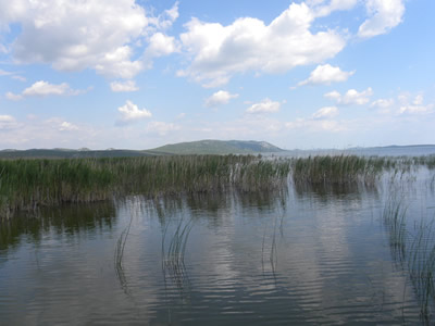 Vransko jezero